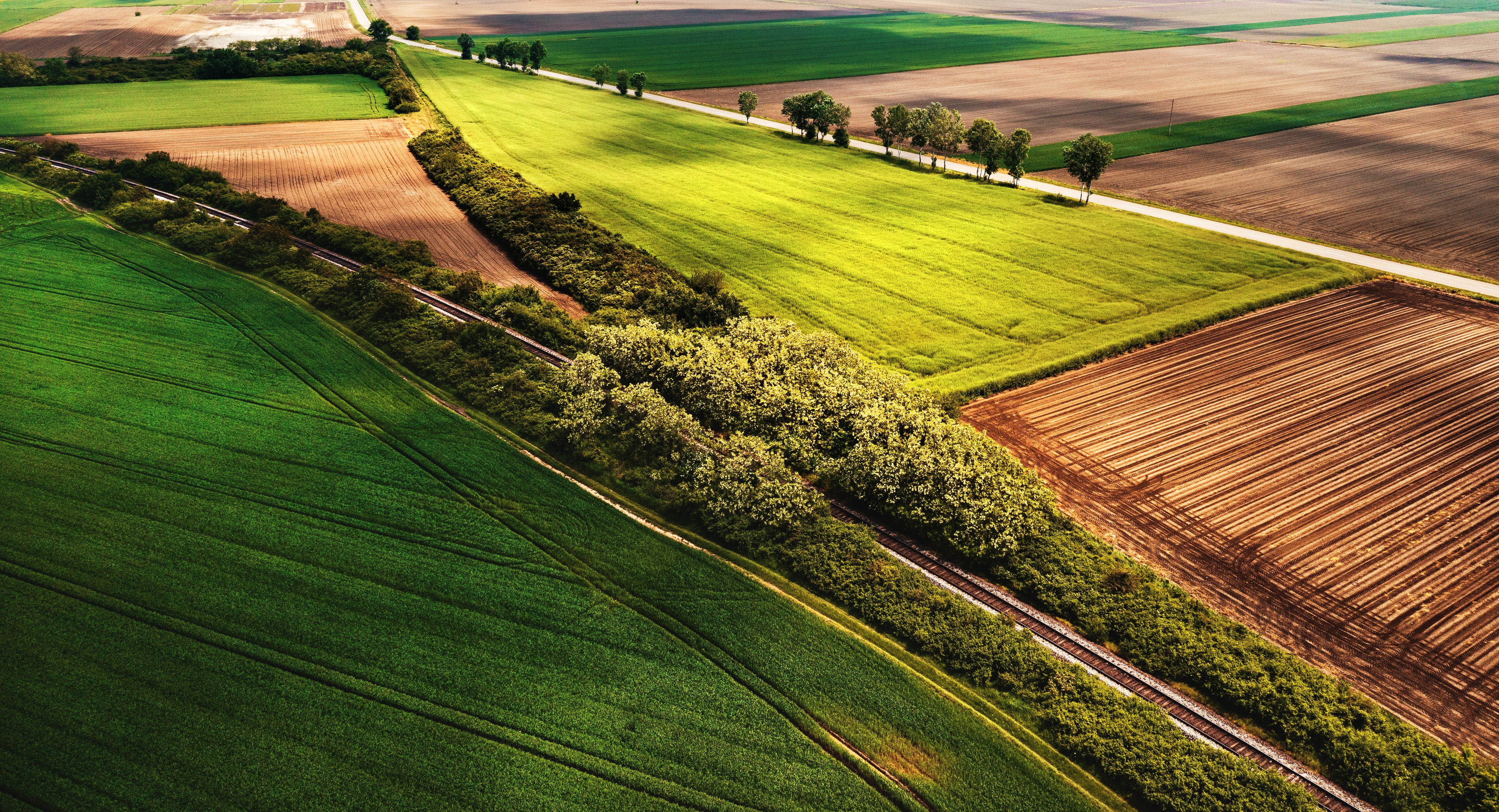 Paysage3.jpg